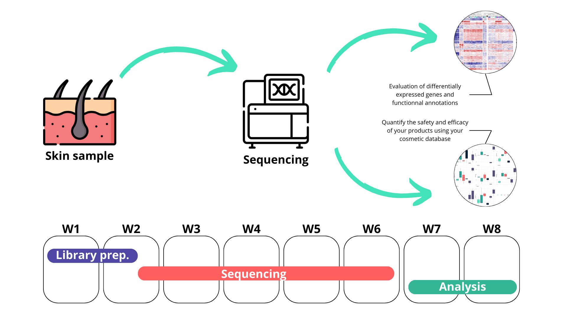 OmicSkin Workflow