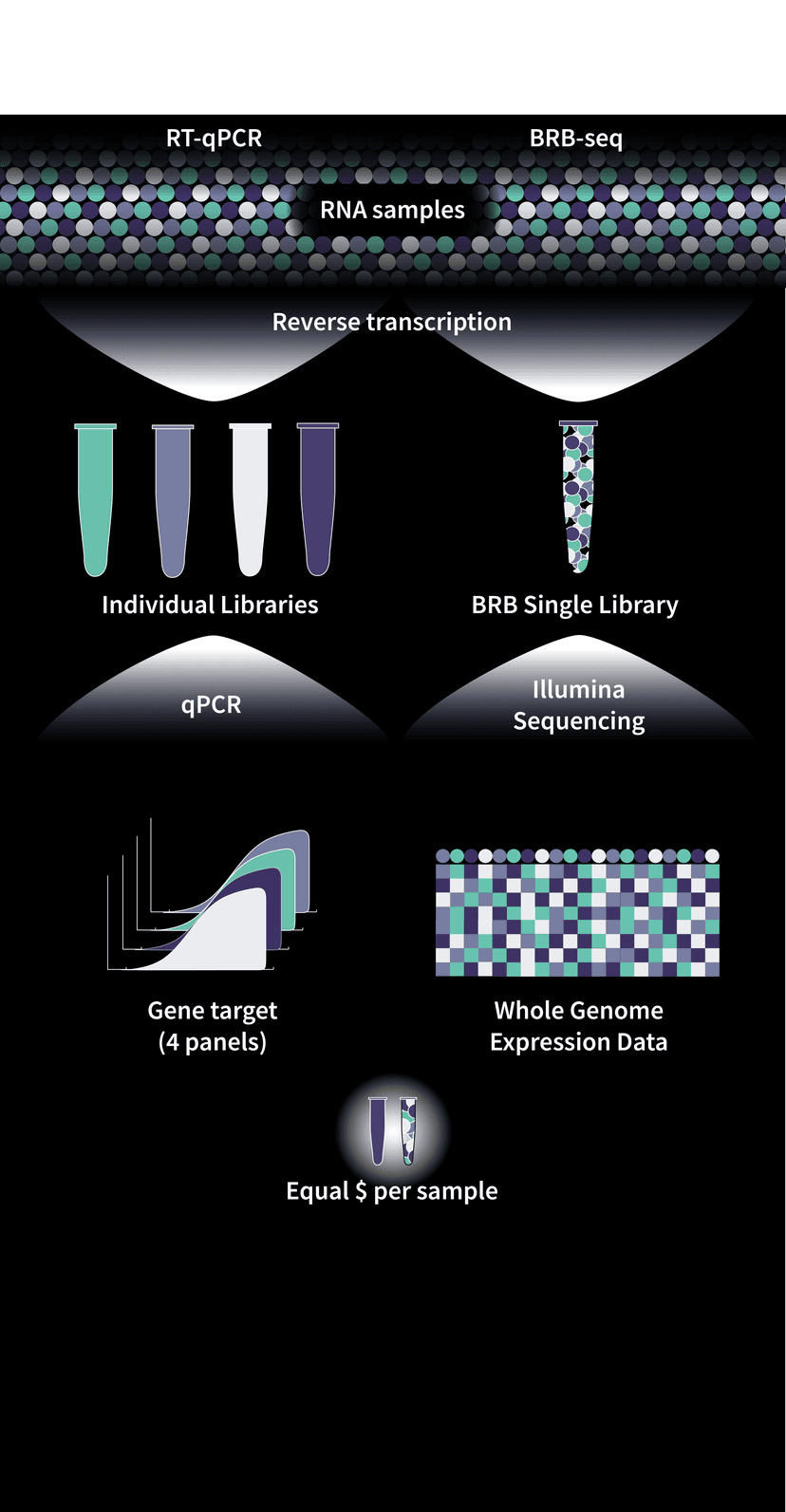 BRB-seq Technology Workflow