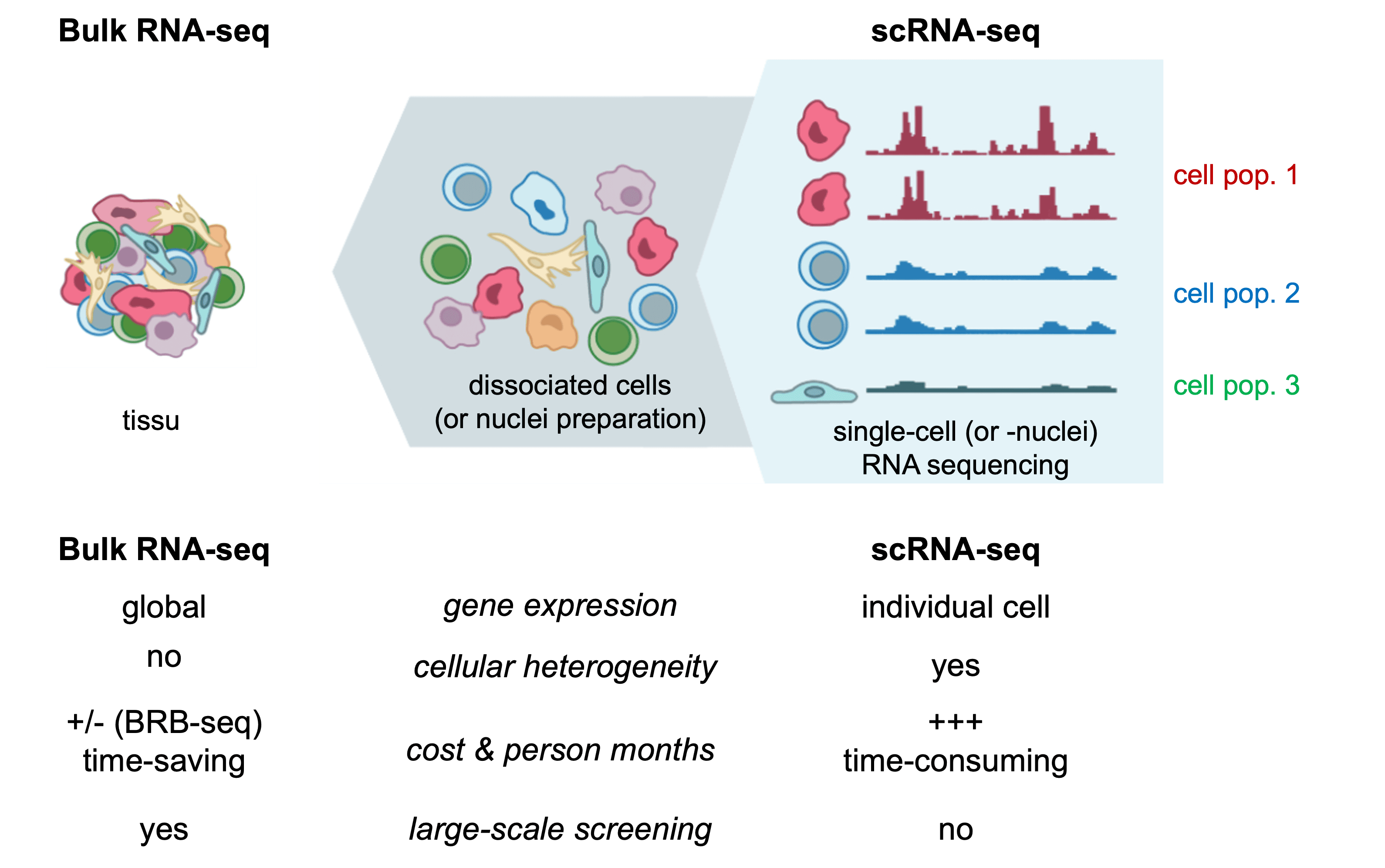 Single-Cell RNA Sequencing Technology