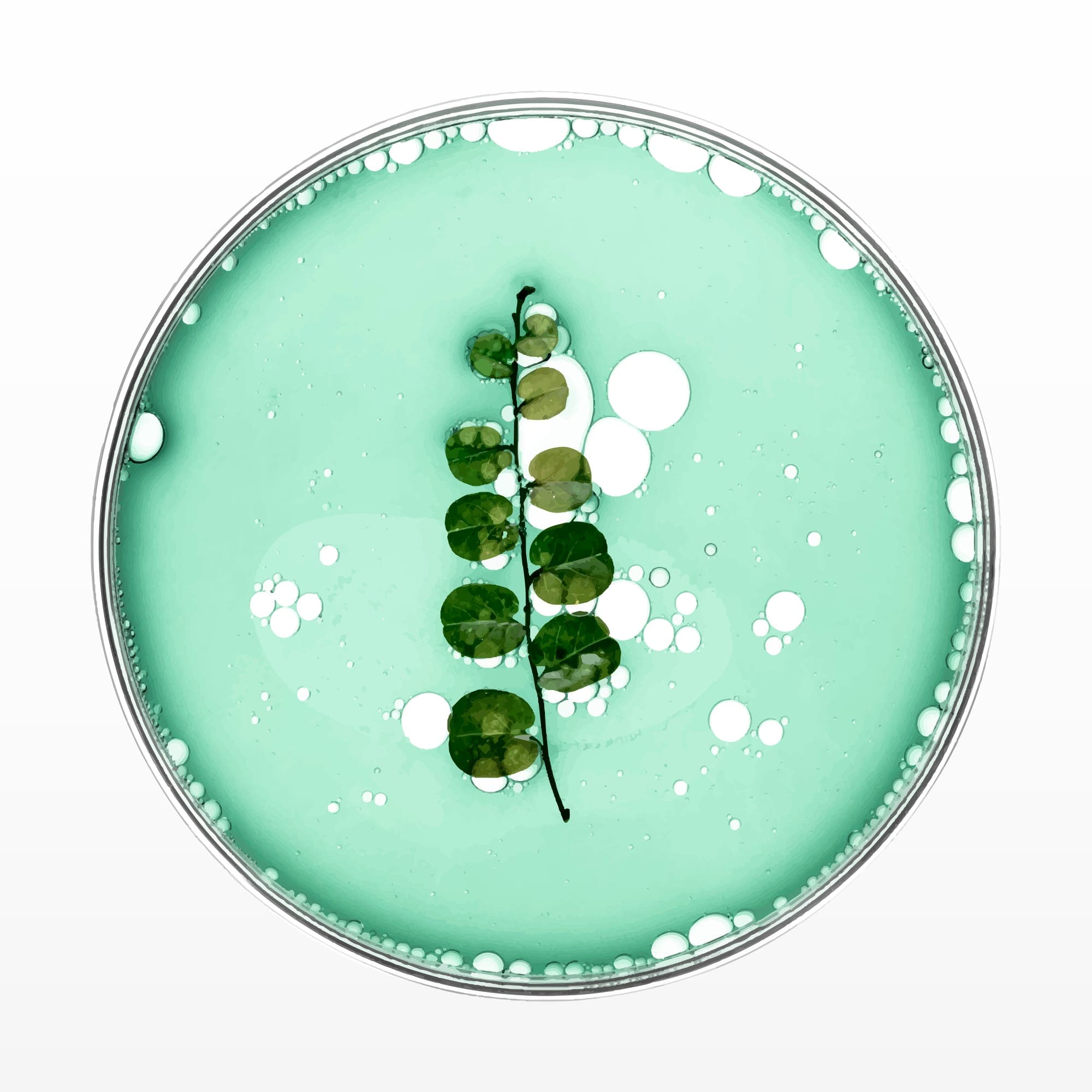 Metagenomics analysis in skincare thumbnail