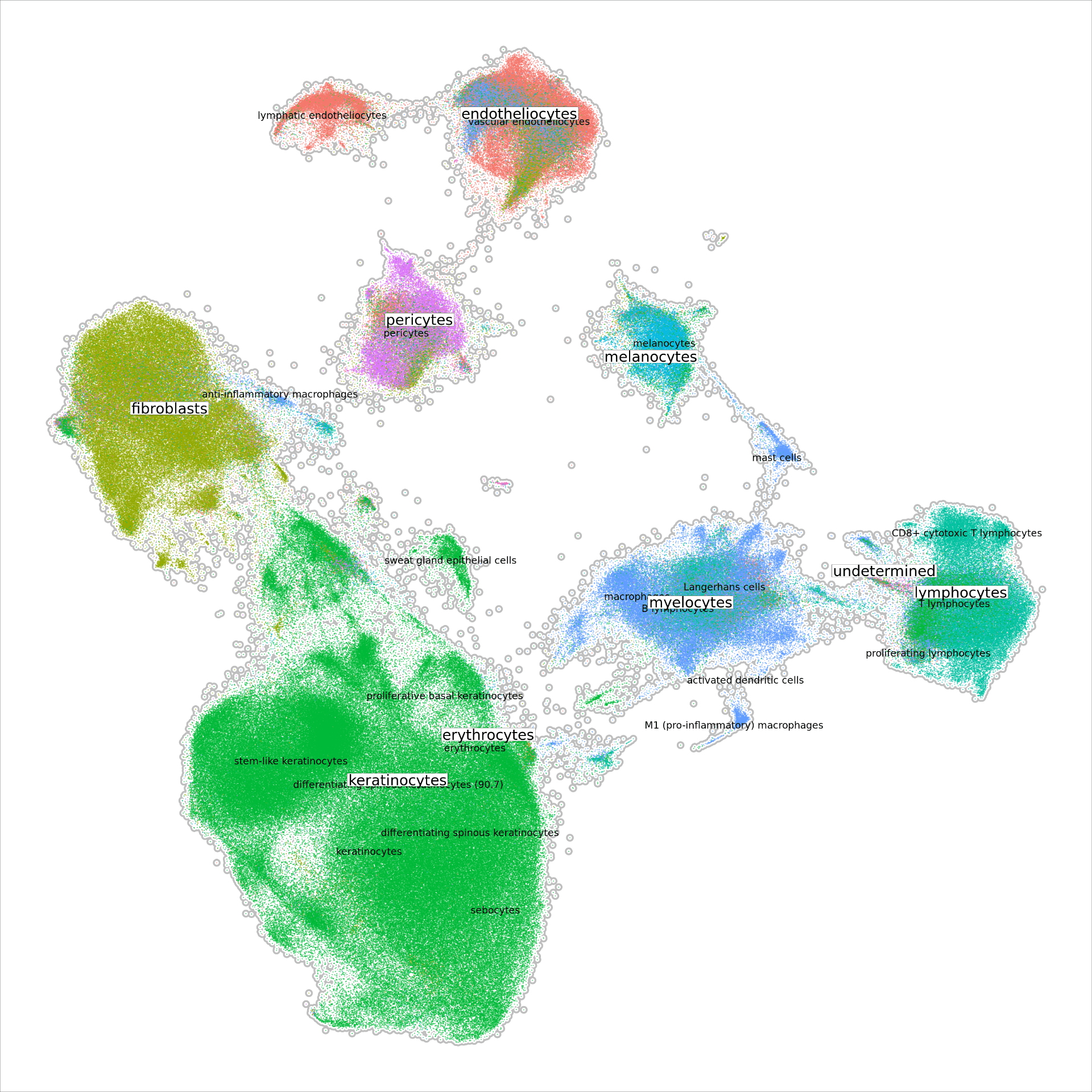 Single-cell UMAP of skin cell types in SkinMAP