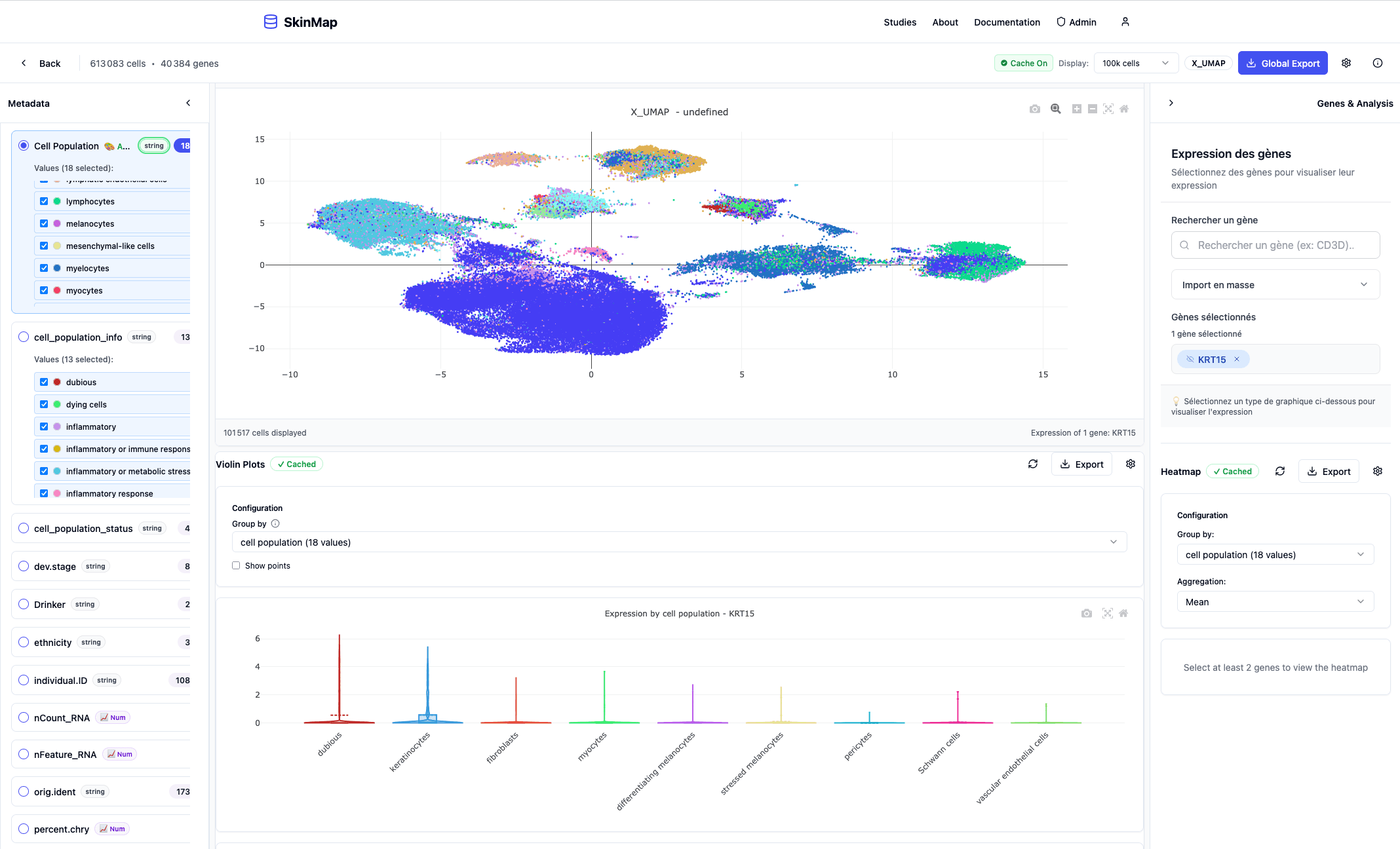 SkinMAP interface: UMAP visualization, metadata panel, violin plots and heatmap
